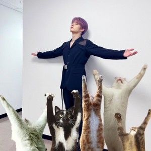 Meet your Posher, Aurora